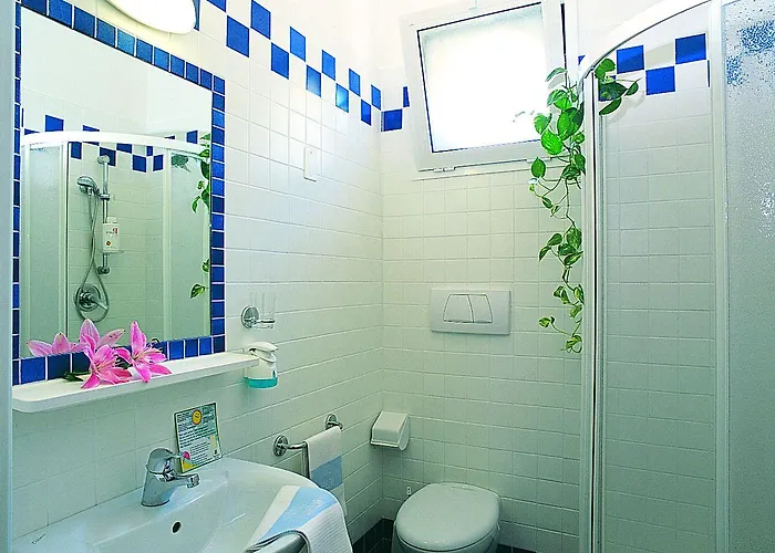Hotel Darsena 3*