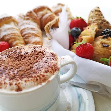 达瑟纳酒店 酒店 里乔内